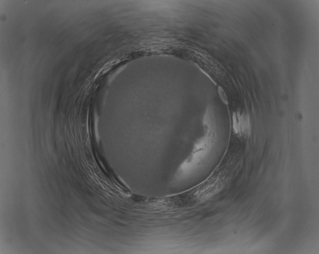 X0000078301155200611031249