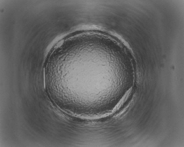 X0000078301175200611031249