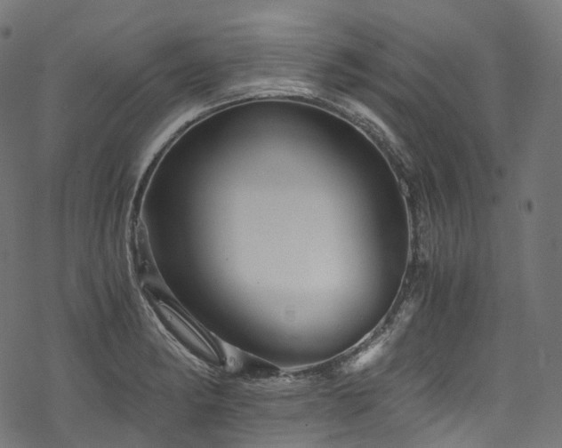X0000078301182200611031249
