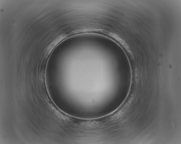 X0000078301185200611031249