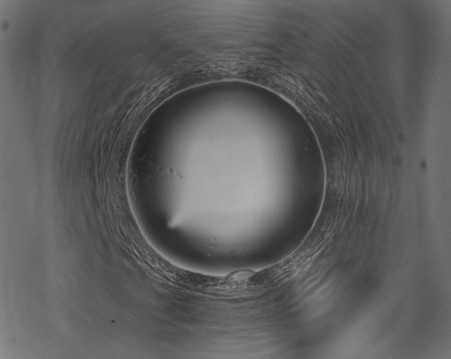 X0000078301201200611031248