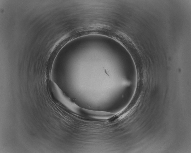 X0000078301210200611031248