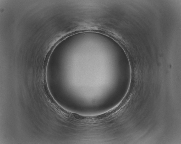 X0000078301220200611031248