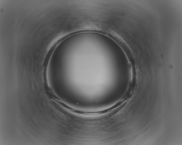 X0000078301222200611031248