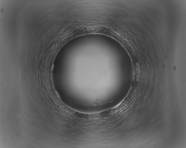 X0000078301249200611031248