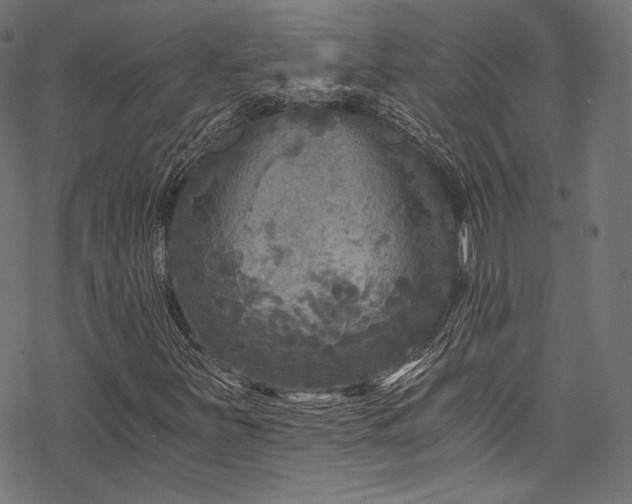X0000078301251200611031248