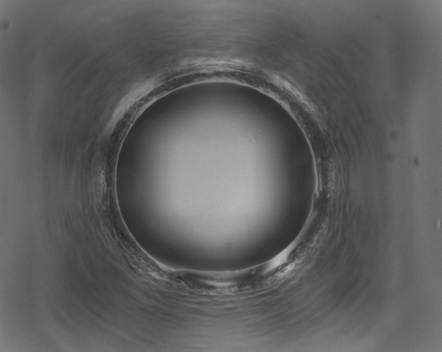 X0000078301261200611031248