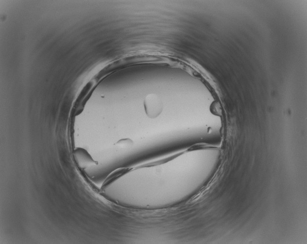 X0000078301293200611031247