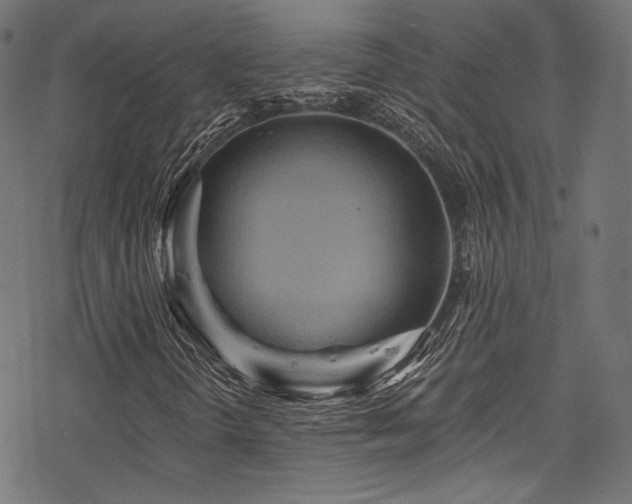 X0000078301298200611031246