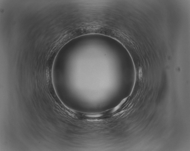 X0000078301299200611031246