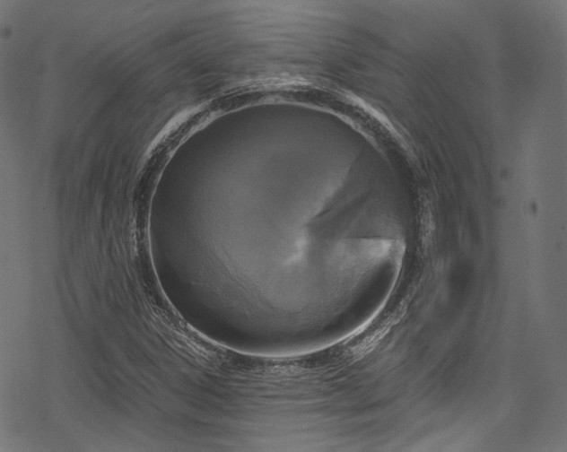 X0000078301306200611031246