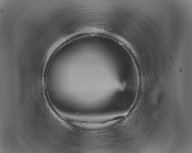 X0000078301335200611031247