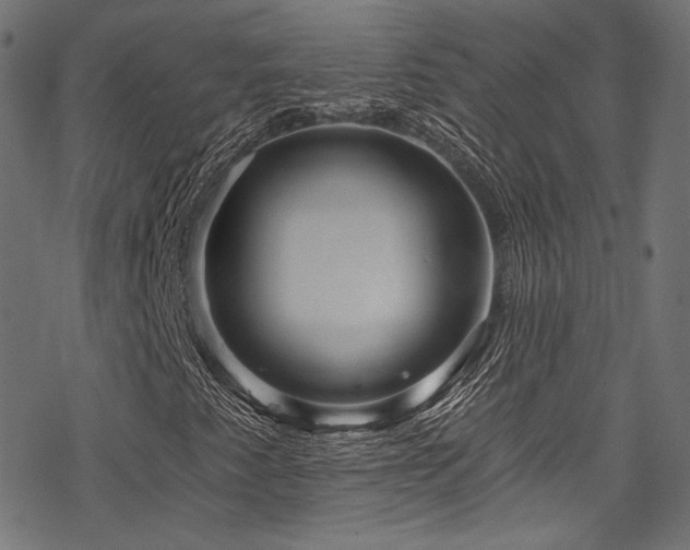 X0000078301345200611031246