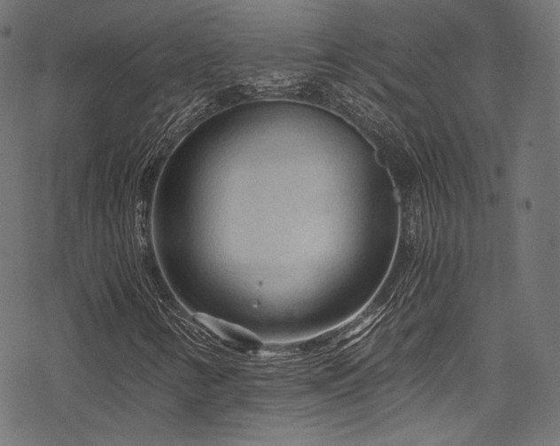 X0000078301346200611031246