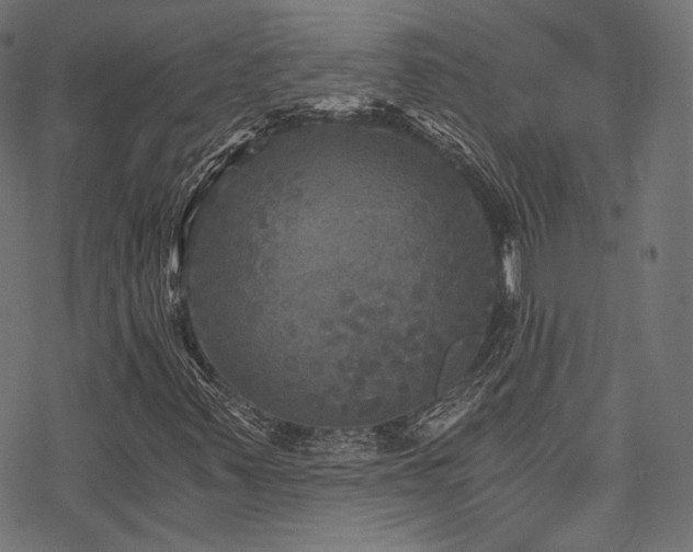 X0000078301347200611031246