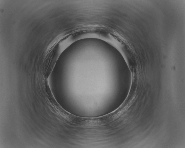 X0000078301354200611031246