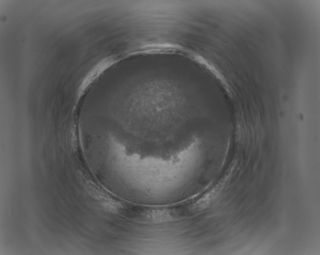 X0000078301362200611031246