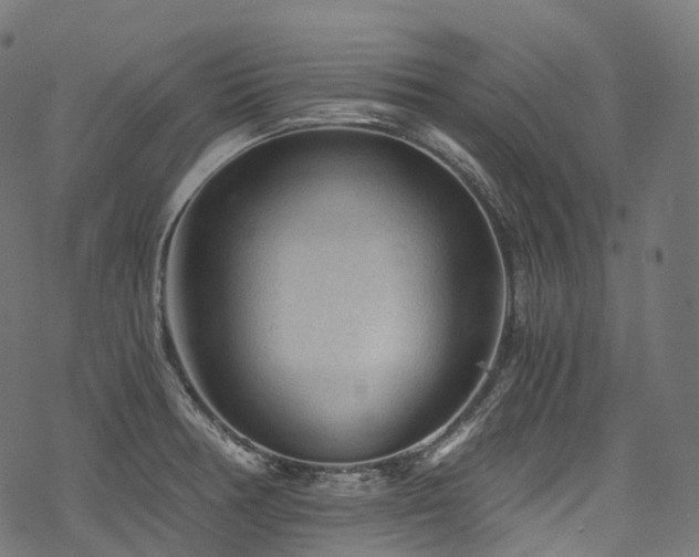 X0000078301378200611031246