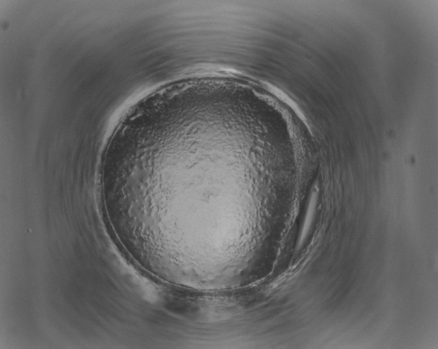 X0000078301379200611031246