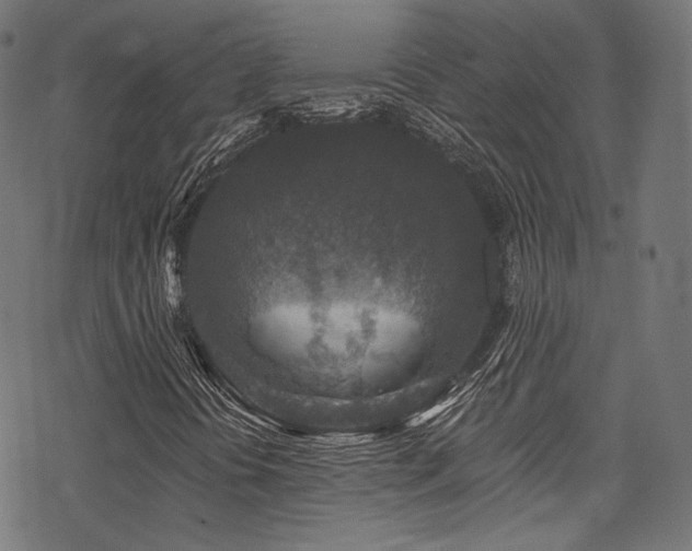X0000078301394200611031245