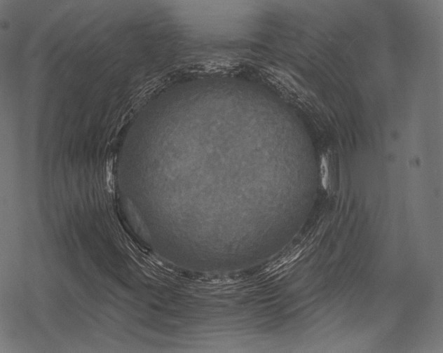 X0000078301395200611031245