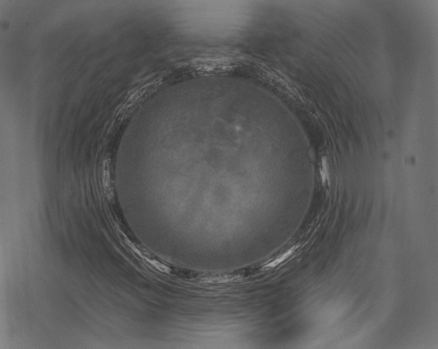 X0000078301396200611031245