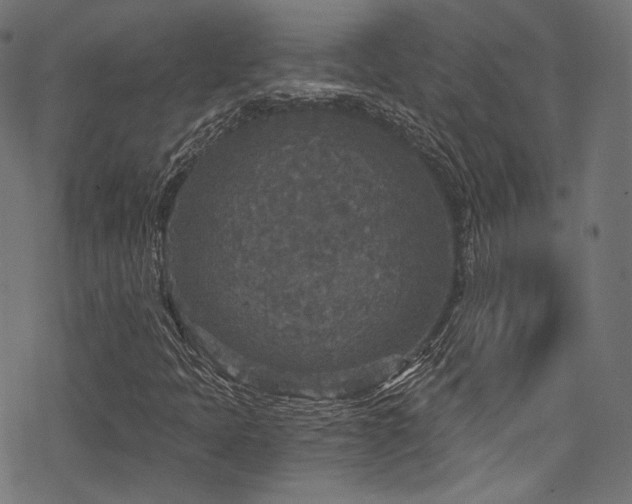 X0000078301397200611031245