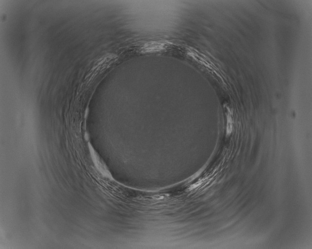 X0000078301441200611031245