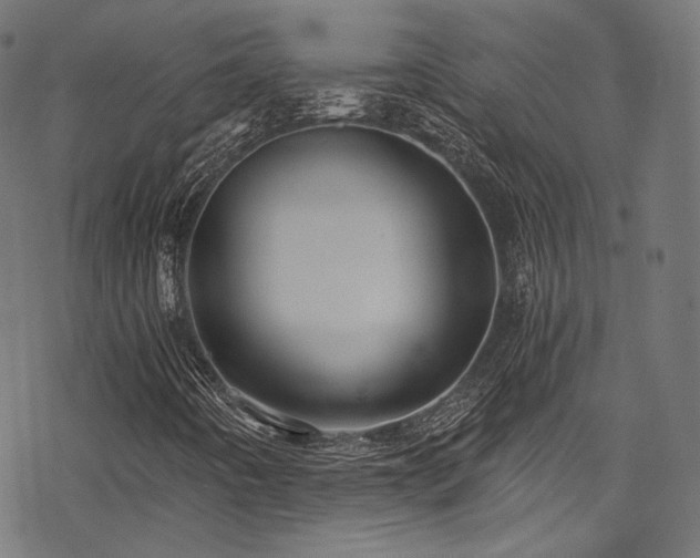 X0000078301442200611031245