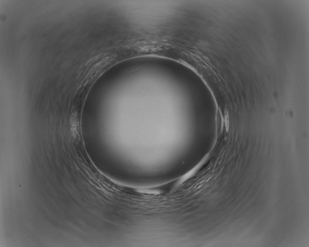 X0000078301444200611031245