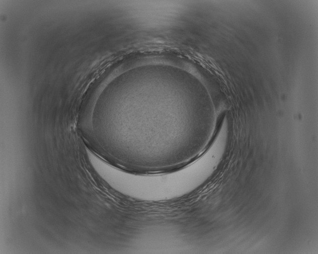 X0000078301445200611031245