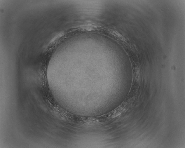 X0000078301446200611031245