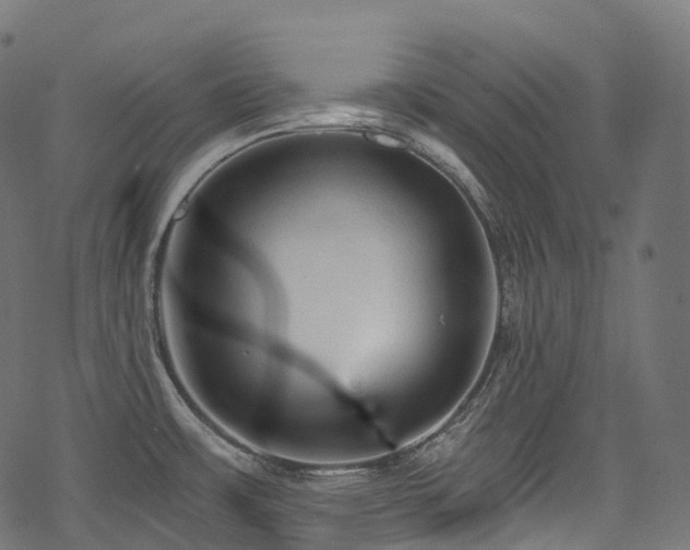 X0000078301483200611031244