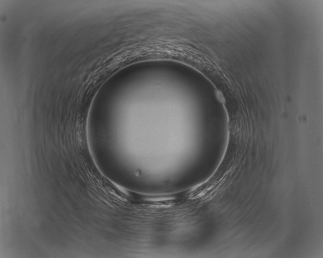 X0000078301490200611031243