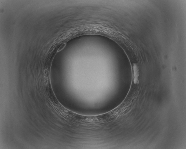X0000078301491200611031243