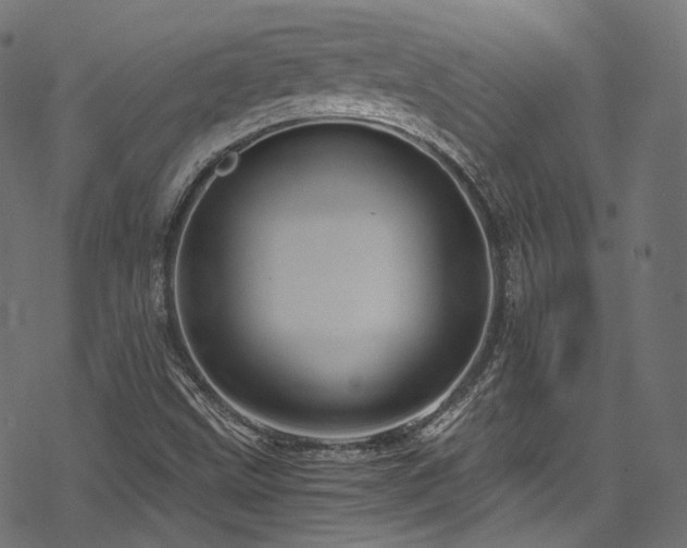 X0000078301499200611031243
