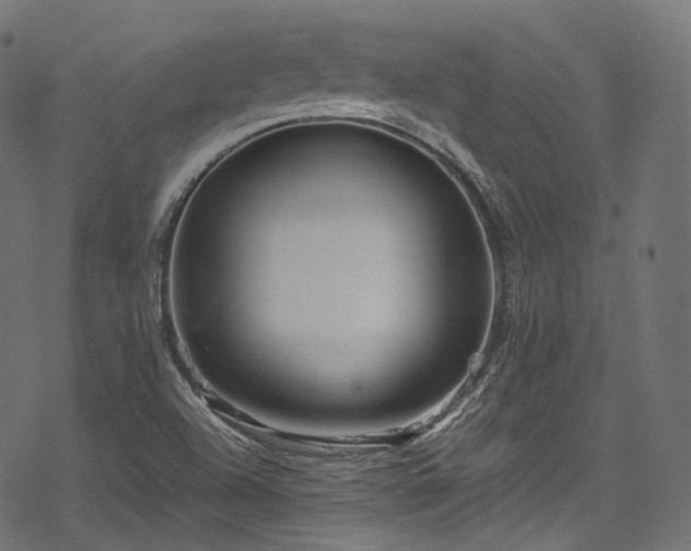 X0000078301504200611031243