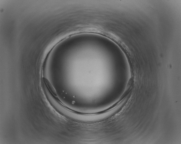 X0000078301520200611031244