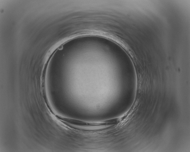 X0000078301535200611031244