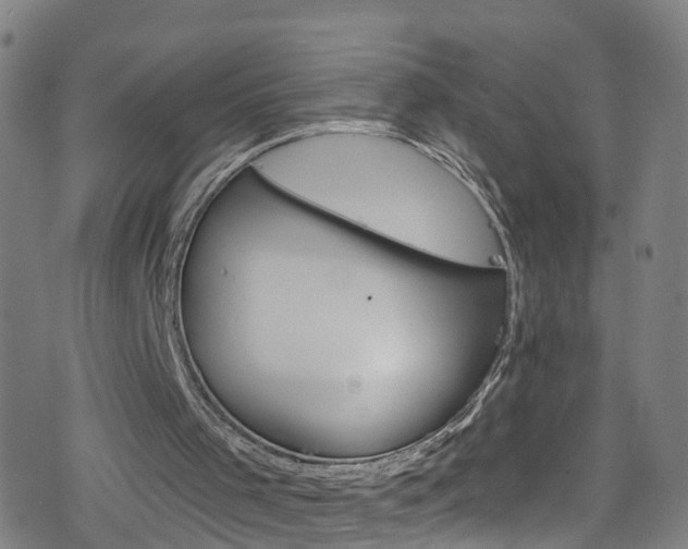 X0000078300001200611101145