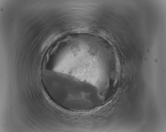 X0000078300002200611101145