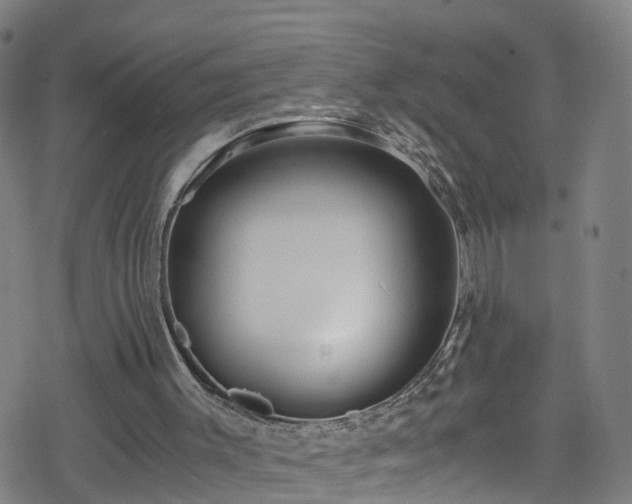 X0000078300003200611101145