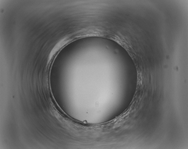 X0000078300004200611101145