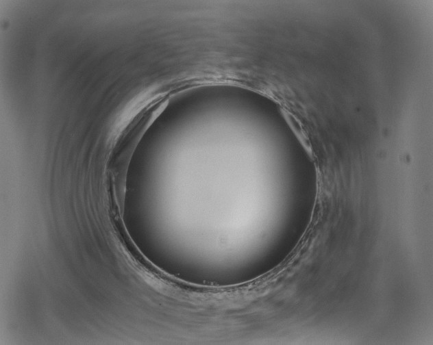 X0000078300005200611101145