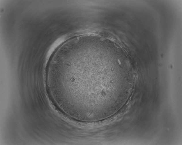 X0000078300006200611101145