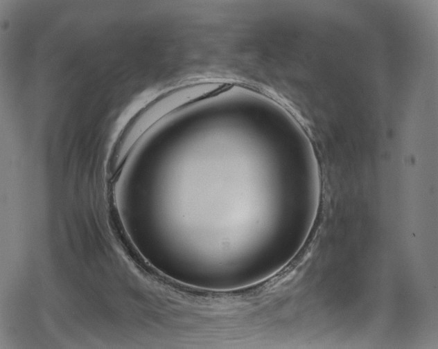 X0000078300008200611101145