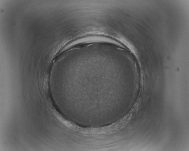 X0000078300009200611101145