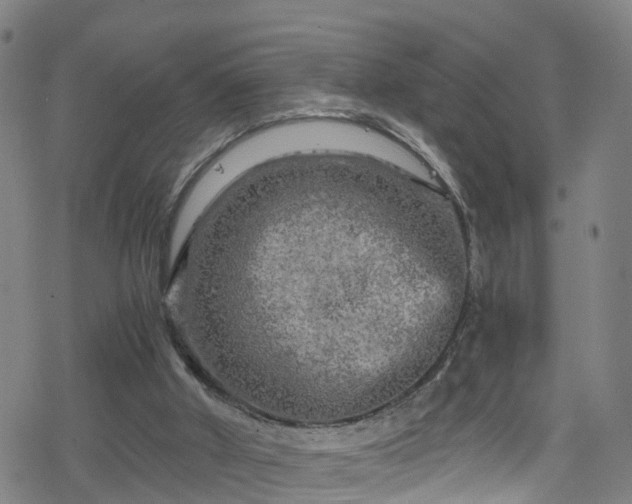 X0000078300010200611101145