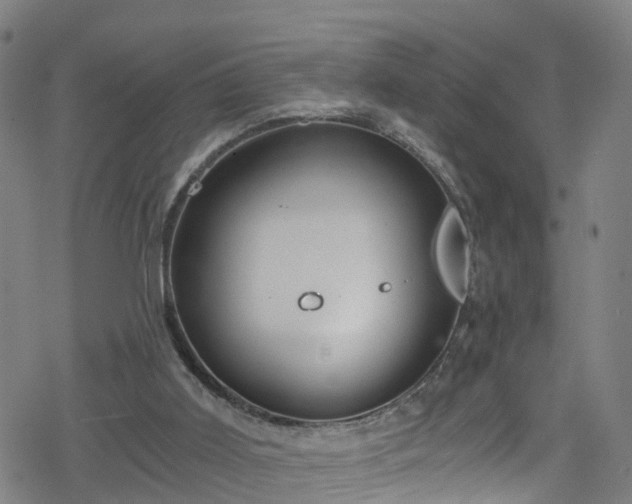 X0000078300011200611101145