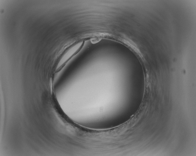 X0000078300013200611101145